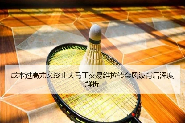 成本过高尤文终止大马丁交易维拉转会风波背后深度解析