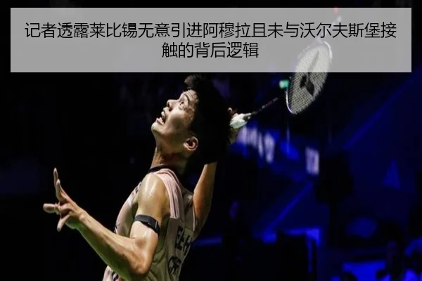 记者透露莱比锡无意引进阿穆拉且未与沃尔夫斯堡接触的背后逻辑